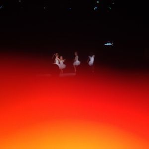 Meet your Posher, Hattie